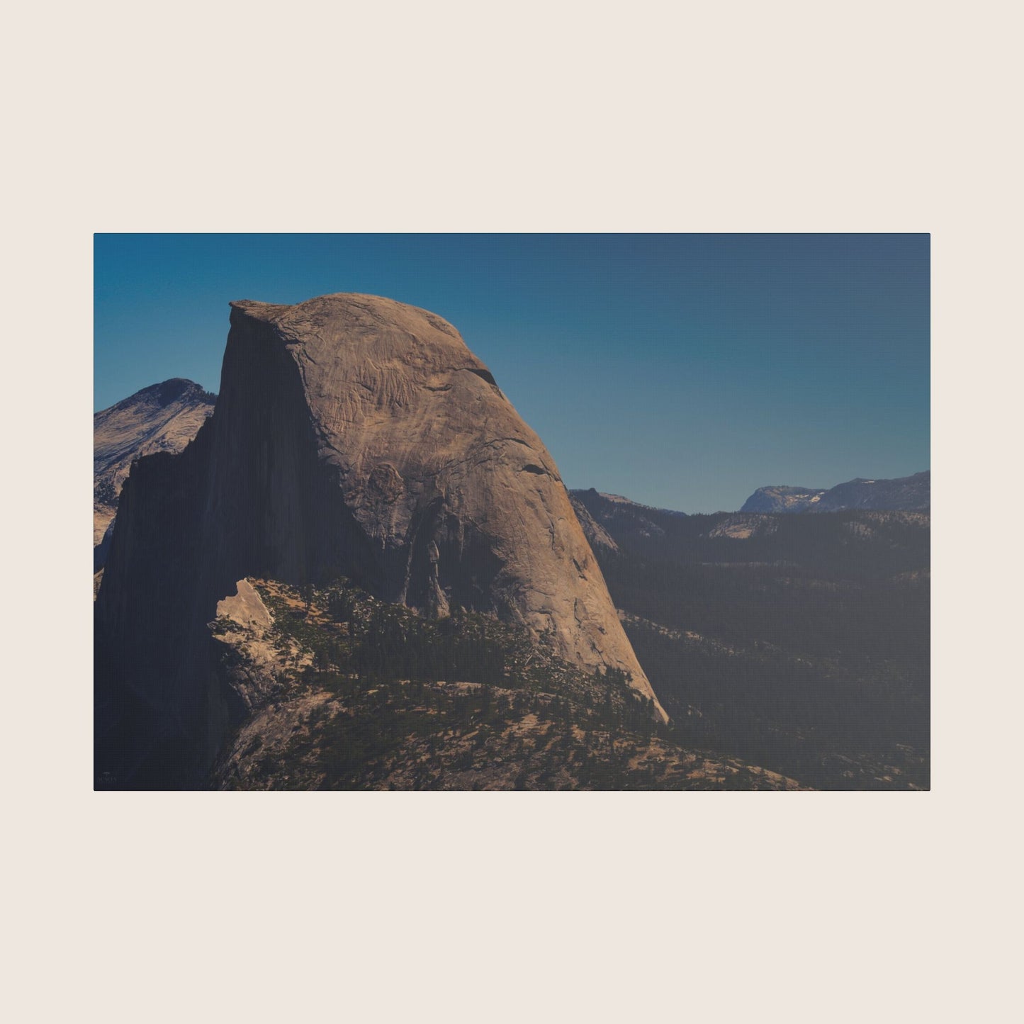 Canvas | VOL. 5
