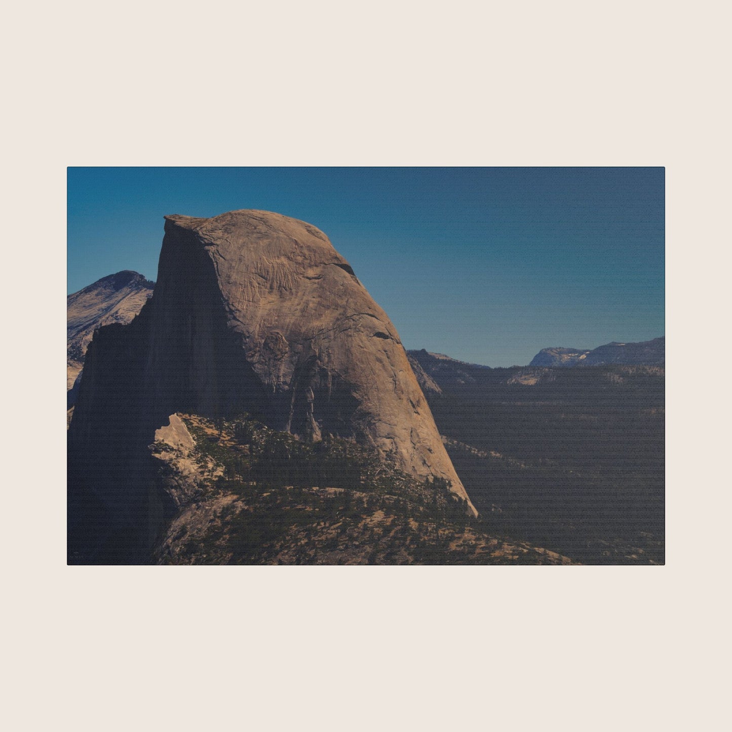 Canvas | VOL. 5
