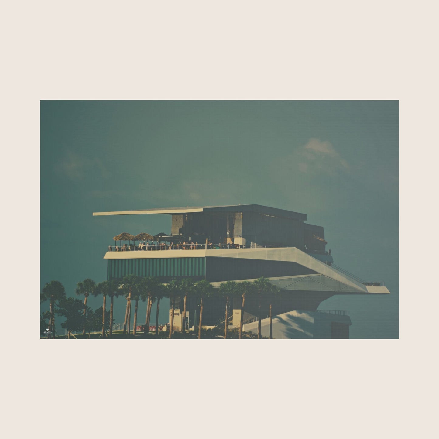 Canvas | VOL. 8