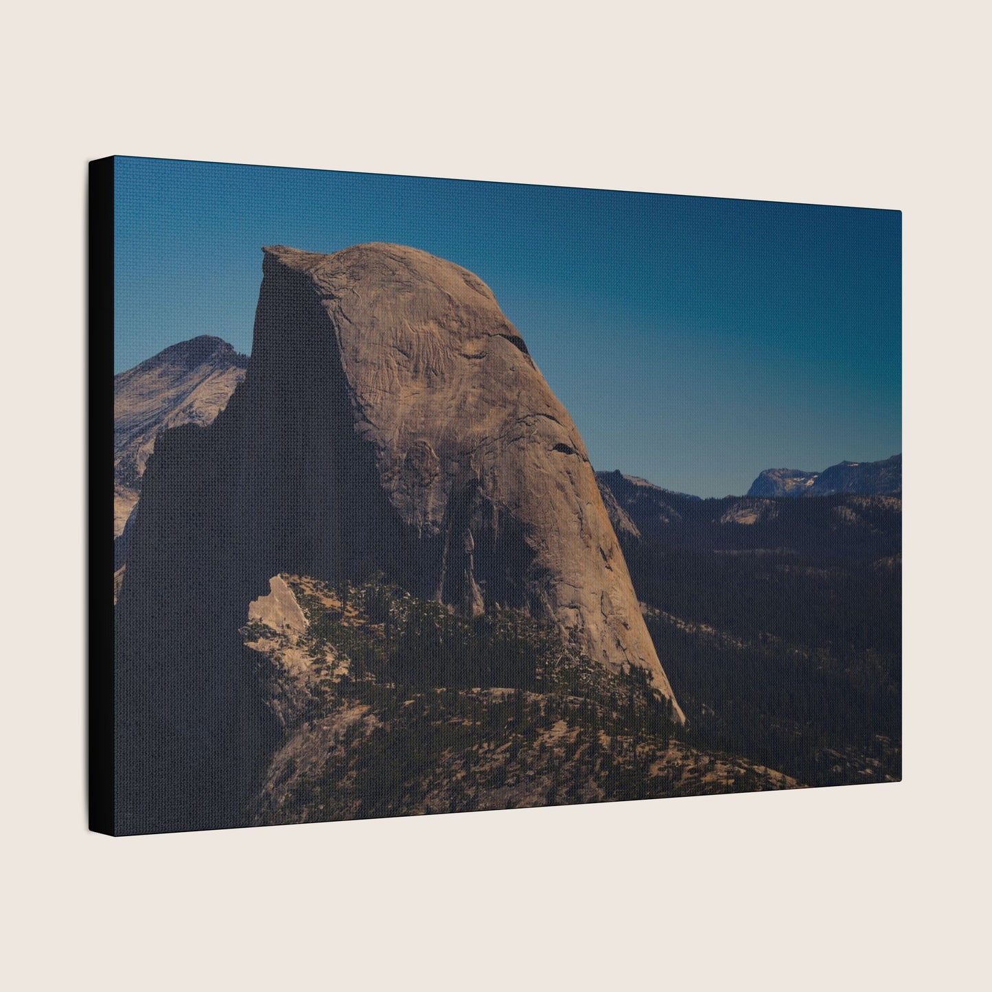 Canvas | VOL. 5