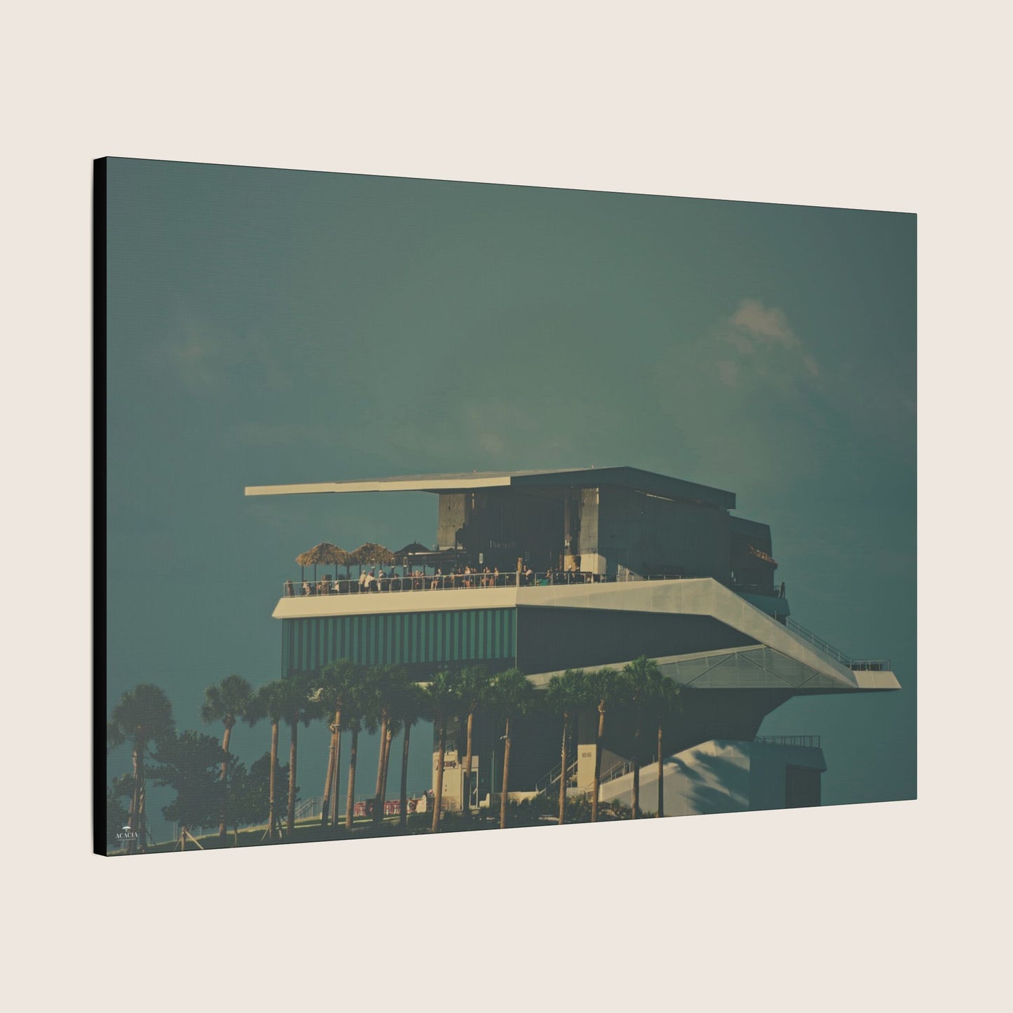 Canvas | VOL. 8