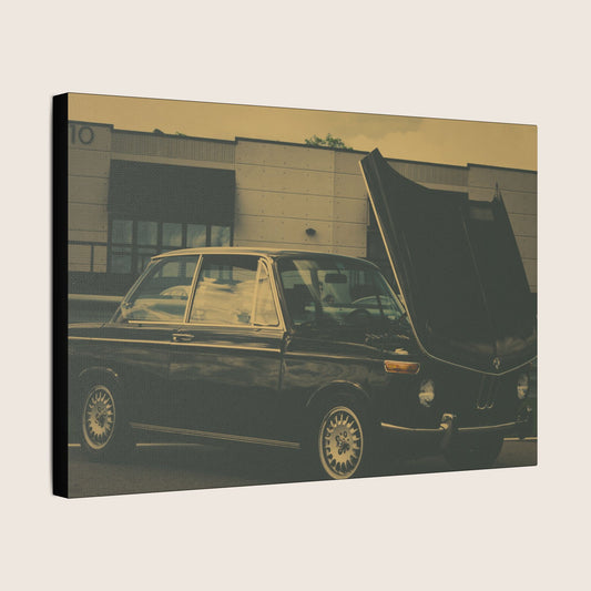 Canvas | VOL. 7