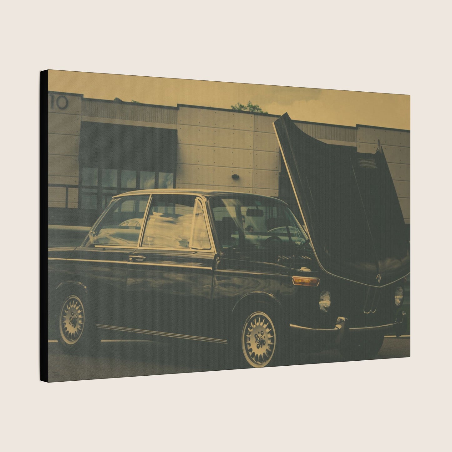 Canvas | VOL. 7