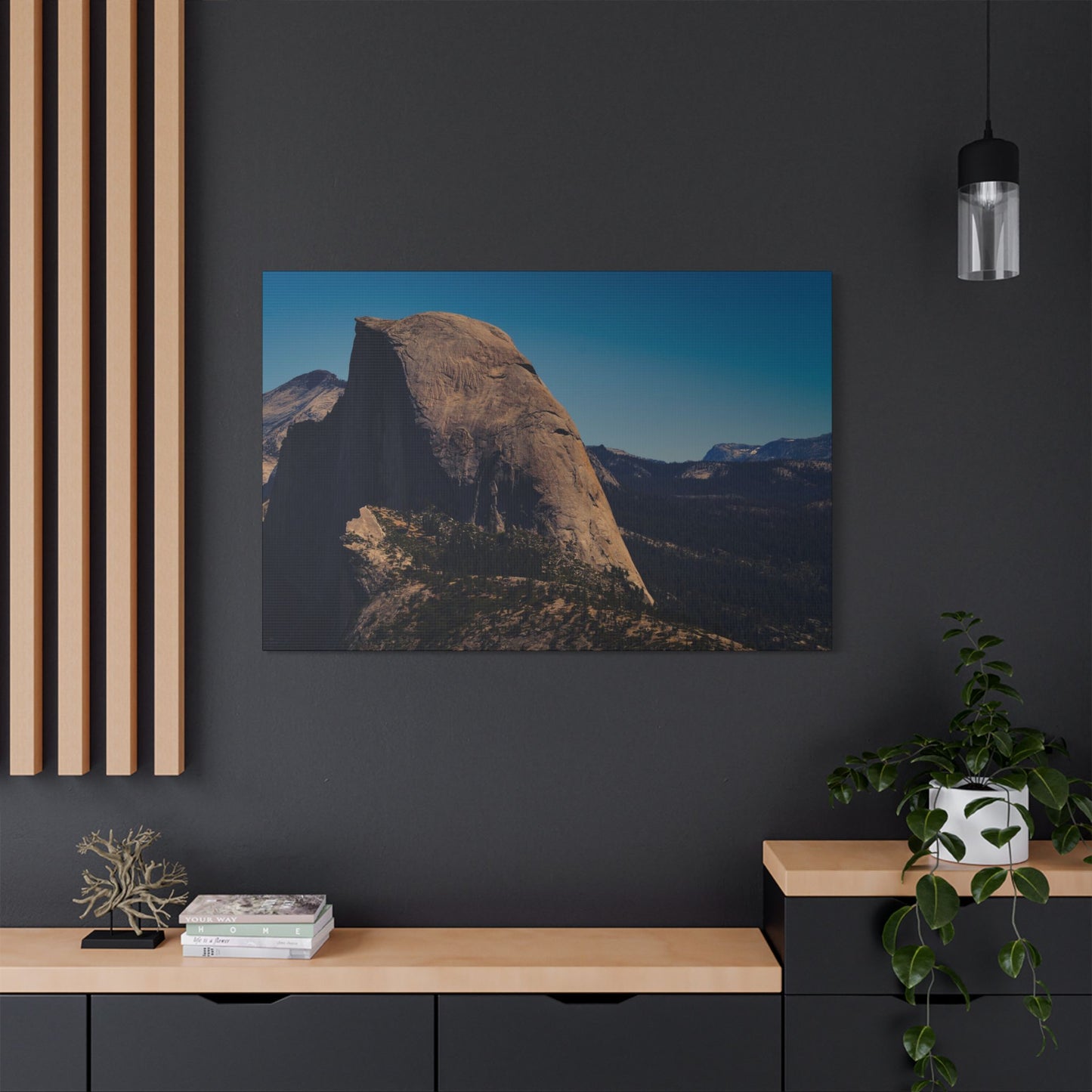 Canvas | VOL. 5