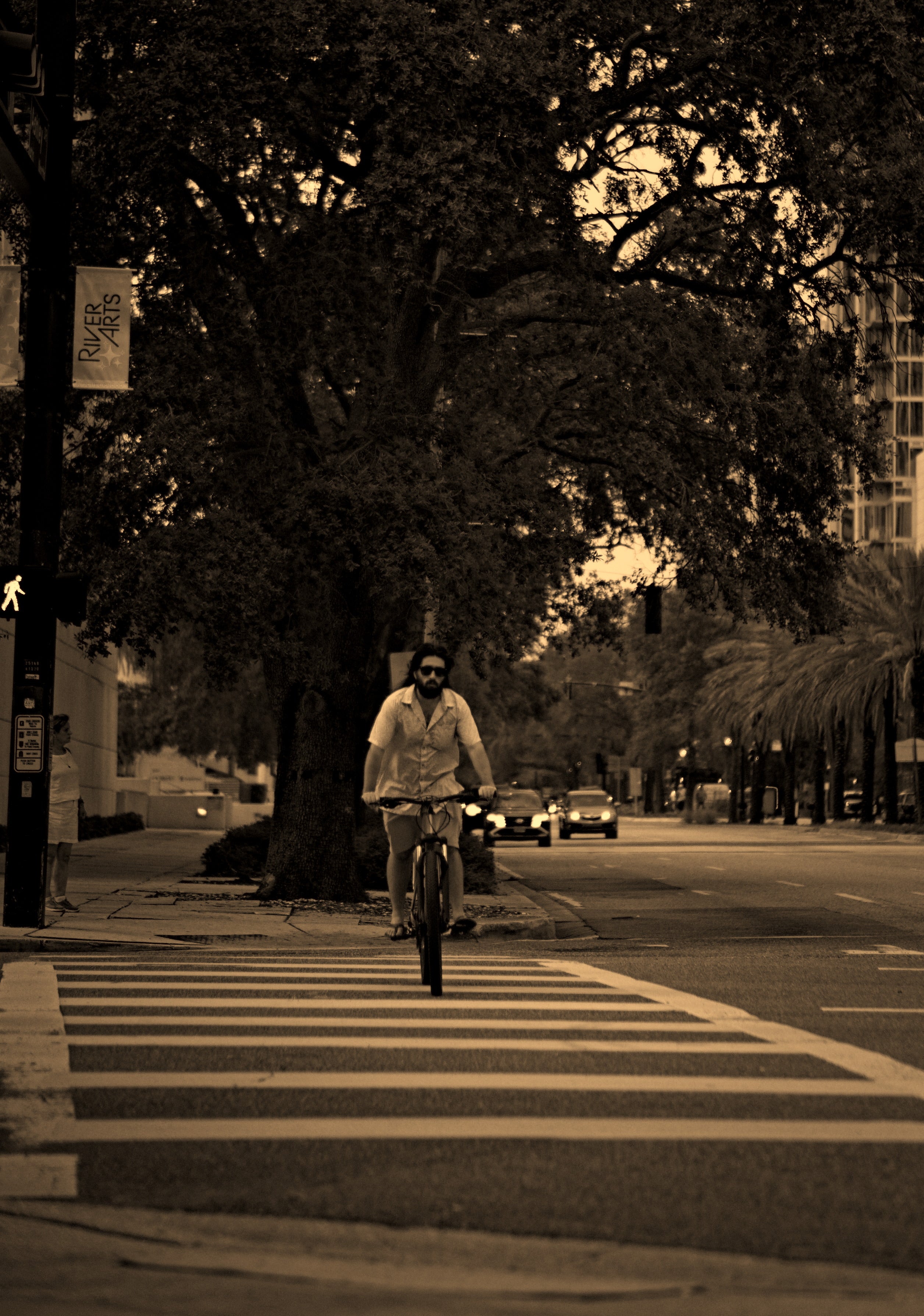 Person riding a bicycle on a city street with trees and buildings in the background. Acacia Cinematography, Tampa, Fl 